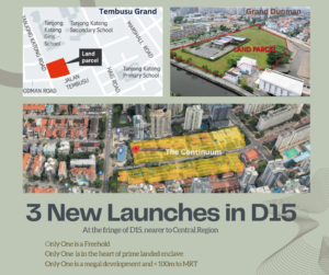 Read more about the article D15 New Launches in 2023